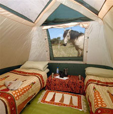 Zimbabwe-Hwange Park-Hwange Big Five Safari